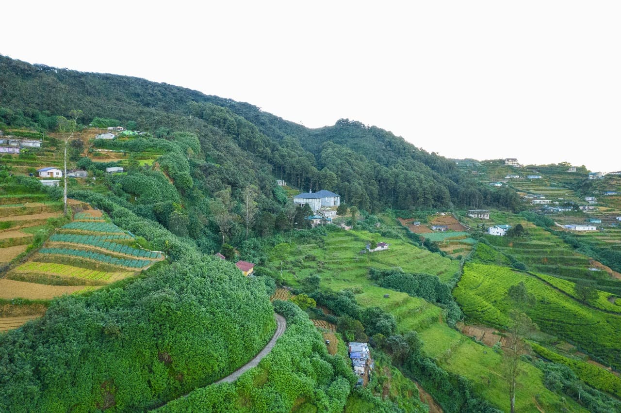 Side garden walkway with flowers and mountain view
