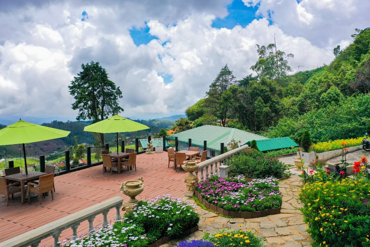 Scenic mountain landscape with tea plantations