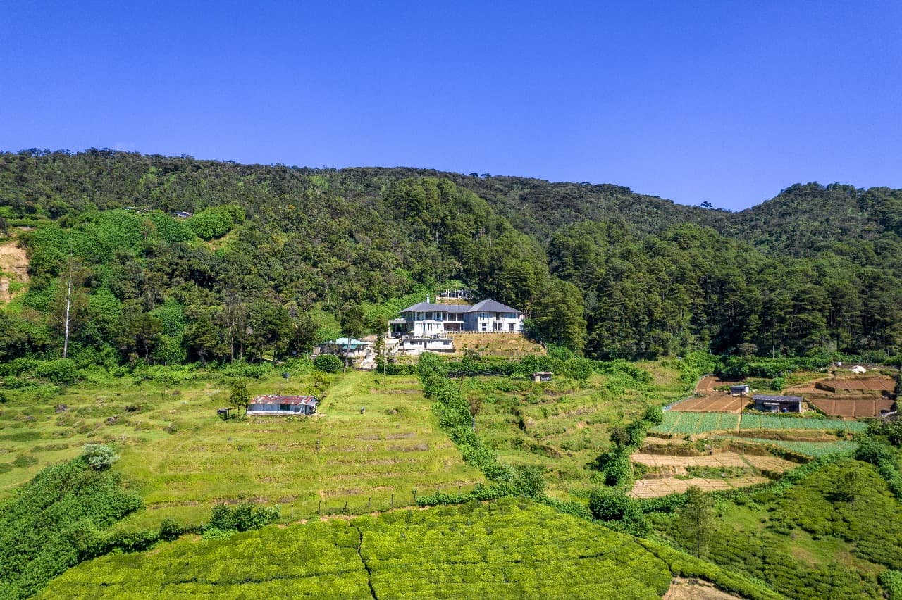 Aerial overhead view of the hotel roof and grounds